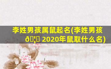 李姓男孩属鼠起名(李姓男孩 🦄 2020年鼠取什么名)